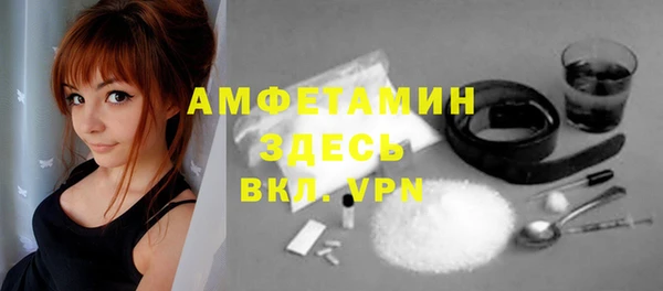 дживик Богородск