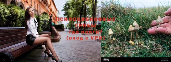 mdma Верея